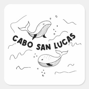 Adesivo Quadrado Baleias Cabo San Lucas México