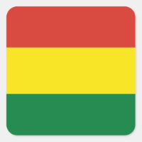 Bandeira da Bolívia (Bolívia)