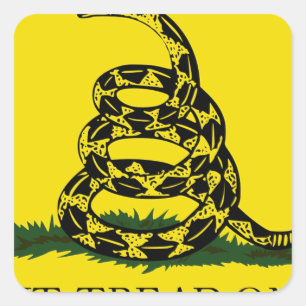 Adesivo Quadrado Bandeira de Gadsden - não pise em mim
