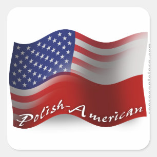Adesivo Quadrado Bandeira de ondulação Polimento-Americana