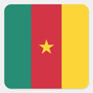 Adesivo Quadrado Bandeira Patriótica do Camarão