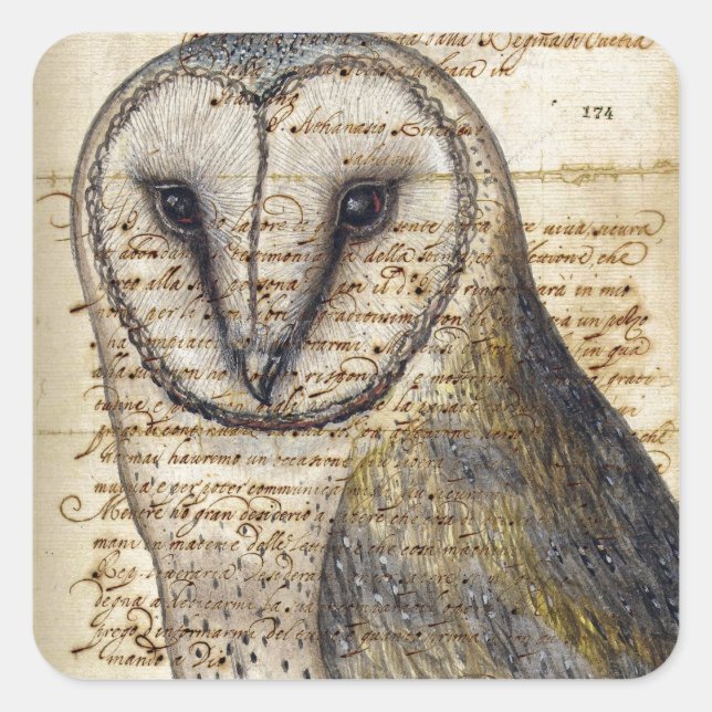 Adesivo Quadrado Barn Owl (Frente)