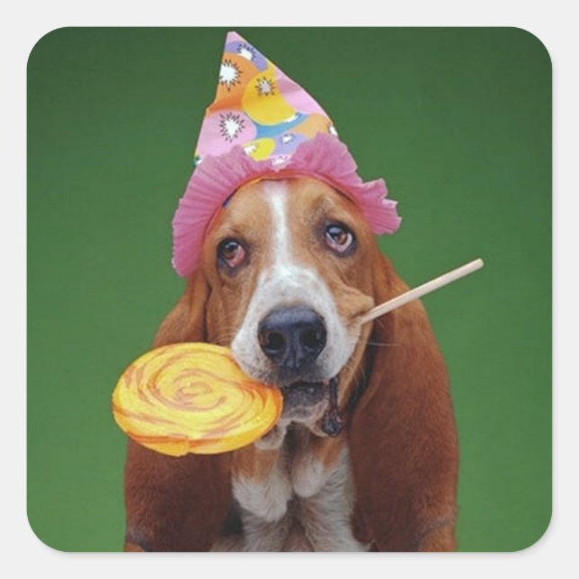 Adesivo Quadrado Basset Hound Birthday (Frente)