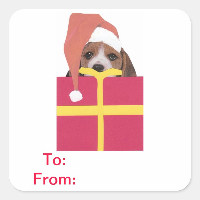 Adesivo Quadrado Beagle Santa Hat Dagt Sticker (Frente)