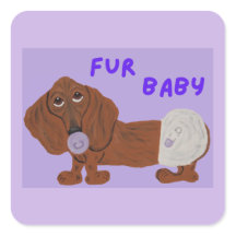 Bebê Furão Cachorro Dachshund