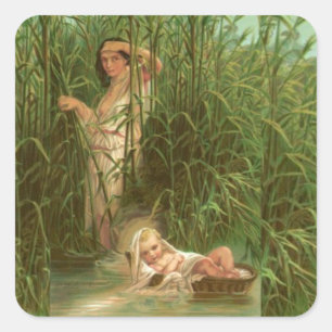 Adesivo Quadrado Bebê Moses e o rio Nile
