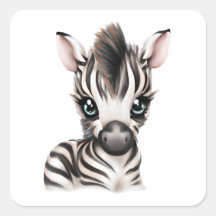 Bebê Zebra Adorável