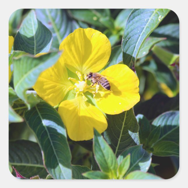 Adesivo Quadrado Bee-ing Productive (Frente)