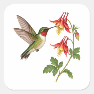 Adesivo Quadrado Beija-flor-verde ao lado de Flores Silvestres Verm