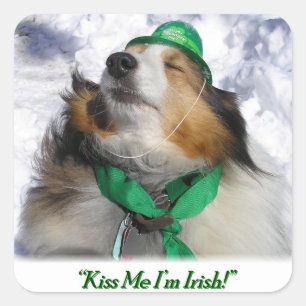 Adesivo Quadrado Beije-me, sou irlandês!