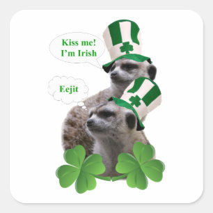 Adesivo Quadrado Beije-me, sou um design irlandês de meerkat