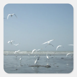 Adesivo Quadrado Belas guindastes voando sobre o Balé da natureza