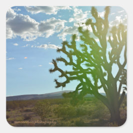 Adesivo Quadrado Beleza do Deserto