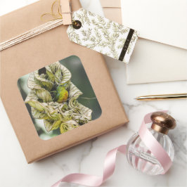 Adesivo Quadrado Belize Olive Euphonia Bird Fotografia