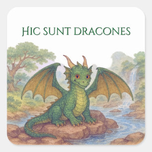 Adesivo Quadrado Belo dragão verde