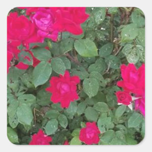 Adesivo Quadrado Belos Flores