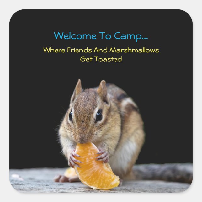 Adesivo Quadrado Bem-Vindo Ao Campo (Frente)