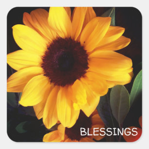 Adesivo Quadrado Bênçãos de flores de verão amarelo sunfloral
