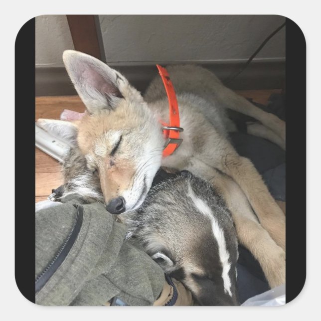 Adesivo Quadrado Benny e Doc Stickers (Frente)