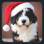 Adesivo Quadrado Bernedoodle Christmas<br><div class="desc">Bela Bernedoodle vestindo um chapéu de Papai Noel.</div>