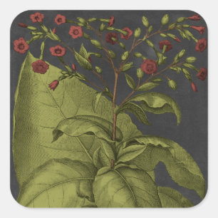 Adesivo Quadrado Besler Dramatique I