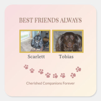 Adesivo Quadrado Best Friends Pawprint