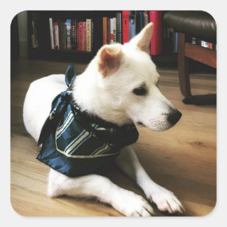 Adesivo Quadrado Biblioteca Eno Sticker