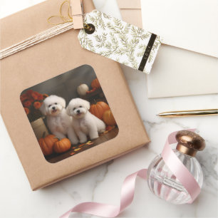 Adesivo Quadrado Bichon Frise Puppy Autumn Delight Pumpkin