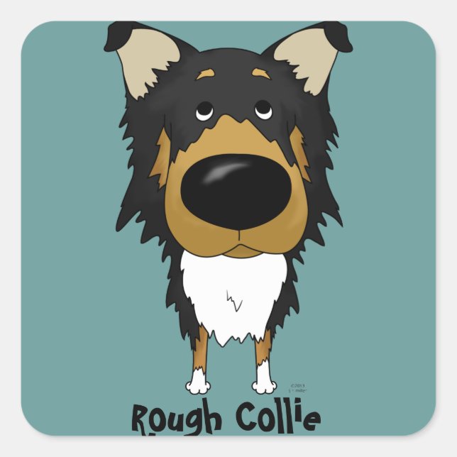 Adesivo Quadrado Big Nose Rough Collie (Frente)