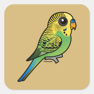 Adesivo Quadrado Birdory Budgerigar
