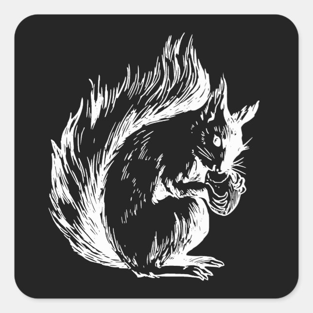 Adesivo Quadrado Black and White Squirrel Design (Frente)