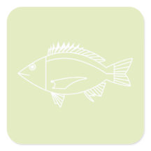 Black Bream em branco sobre o verde pastel