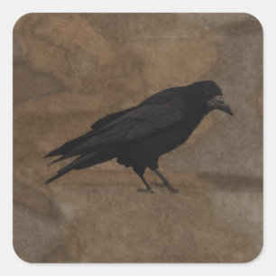 Adesivo Quadrado Black Rook British Corvid e Rustic Background