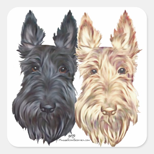 Adesivo Quadrado Black & Wheaten Scottish Terriers (Frente)