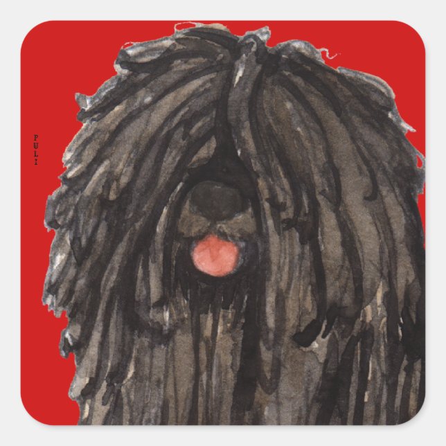 Adesivo Quadrado Bloco de Cor do Puli (Frente)