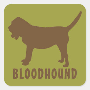 Adesivo Quadrado Bloodhound