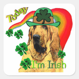 Adesivo Quadrado Bloodhound st Patricks