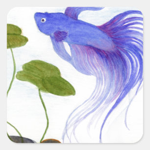 Adesivo Quadrado Blue Betta Fish
