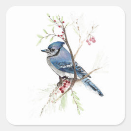 Adesivo Quadrado Blue Jay Bird Square Sticker