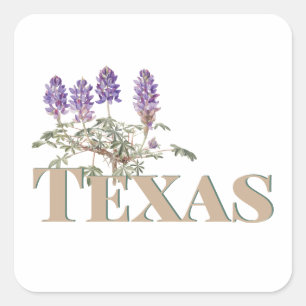 Adesivo Quadrado Bluebonnet 2 do Texas Botânico