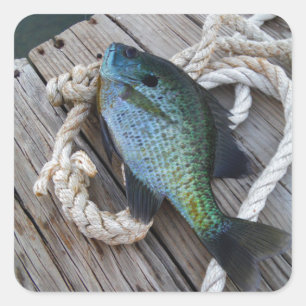 Adesivo Quadrado bluegill na doca