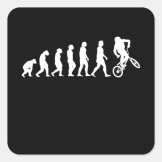 Adesivo Quadrado Bmx Evolution Cycling Bike Biker Gift