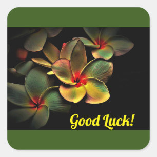 Adesivo Quadrado Boa Sorte!