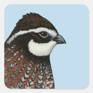 Adesivo Quadrado Bobwhite Quail Head