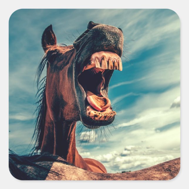 Adesivo Quadrado Boca do Cavalo Dente próximo de Cavalo Selvagem (Frente)
