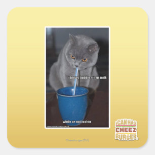 Adesivo Quadrado Bolhas dos sopros no leite do ur