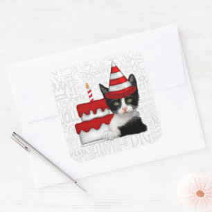 Adesivo Quadrado Bolo de Aniversário com Gatinho Preto e Branco