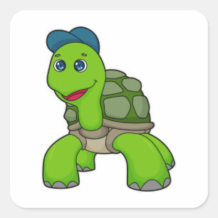 Adesivo Quadrado Boné de tartaruga