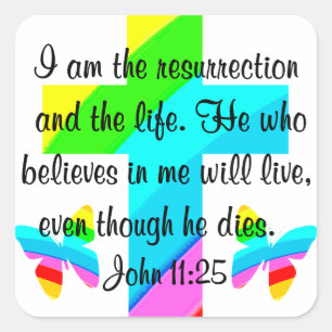 ADESIVO QUADRADO BONITO JOHN 11:25 ARANHAS E BORRACHAS