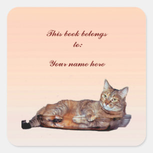 Adesivo Quadrado Bookplate do gato de gato malhado